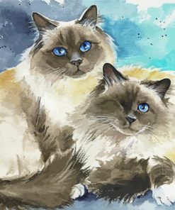 Birman Cats Diamond Paintings