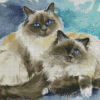 Birman Cats Diamond Paintings