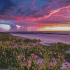 Broome Beach Flowers Diamond Paintings