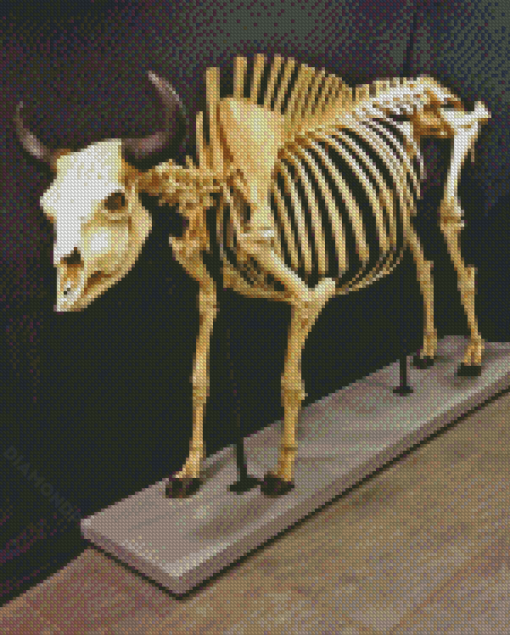 Bull Skeleton Diamond Paintings