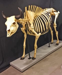 Bull Skeleton Diamond Paintings