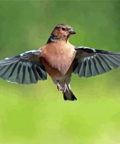 Chaffinch Flying Bird Diamond Paintings