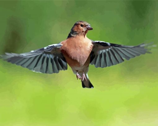 Chaffinch Flying Bird Diamond Paintings