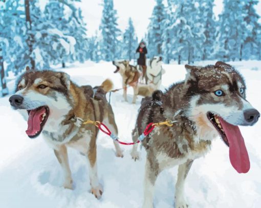 Close Up Sled Dogs Diamond Paintings