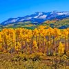 Colorado With Aspen Trees In Autumn Diamond Paintings