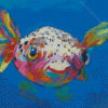 Colorful Puffer Fish Diamond Paintings