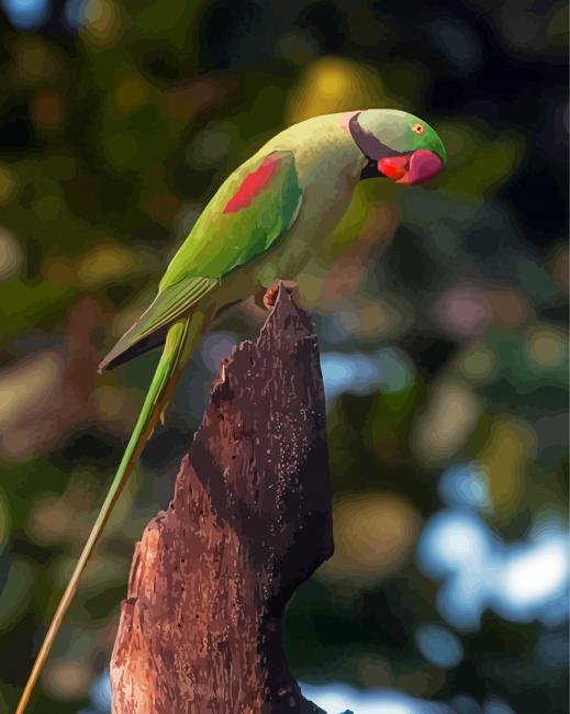 Cute Alexandrine Parakeet Diamond Paintings