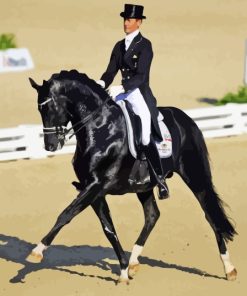 Dressage Horse Man Diamond Paintings