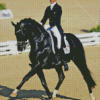 Dressage Horse Man Diamond Paintings