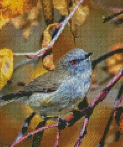 Grey Warbler Diamond Paintings