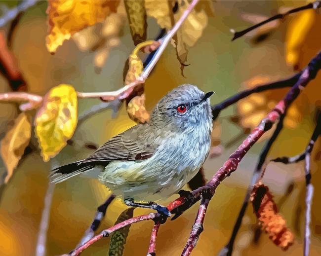 Grey Warbler Diamond Paintings