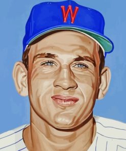 Harmon Killebrew The Killer Diamond Paintings