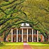 Oak Alley Plantation Diamond Paintings