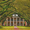 Oak Alley Plantation Diamond Paintings