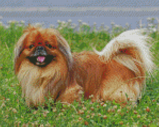 Pekingese Dog Diamond Paintings