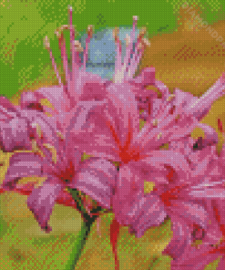 Purple Nerine Flowers Diamond Paintings