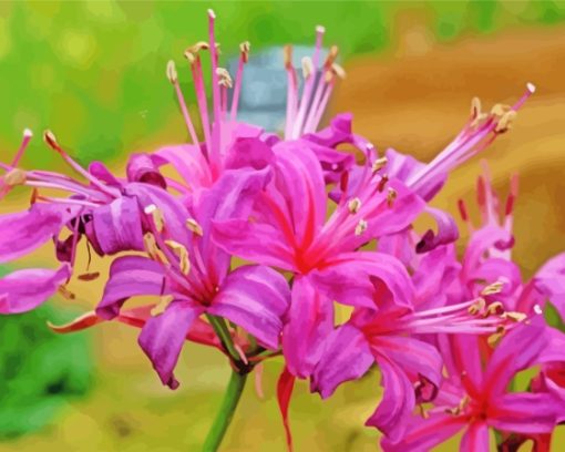 Purple Nerine Flowers Diamond Paintings