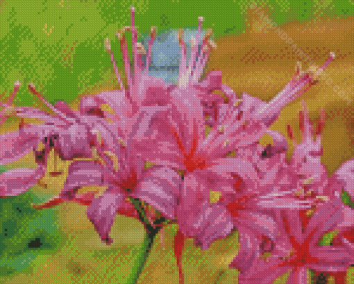 Purple Nerine Flowers Diamond Paintings