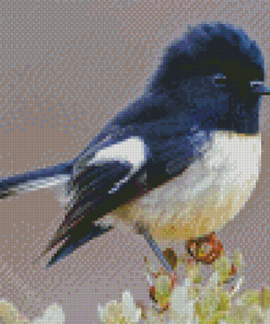 Tomtit Bird Diamond Paintings