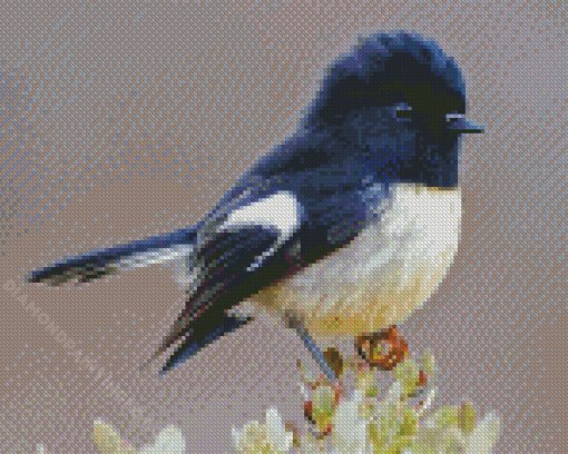 Tomtit Bird Diamond Paintings