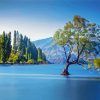 Tree In Lake Wanaka Diamond Paintings