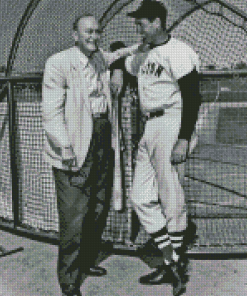 Ty Cobb And Ted Williams Diamond Paintings