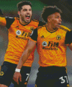 Wolverhampton Wolves Diamond Paintings