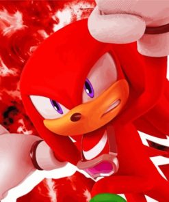 Aesthetic Knuckles The Echidna Diamond Paintings