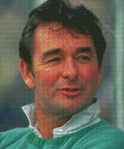 Aesthetic Brian Clough Diamond Paintings