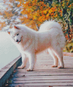 Aesthetic Samoyed Diamond Paintings