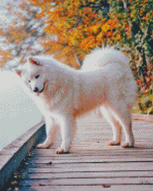 Aesthetic Samoyed Diamond Paintings