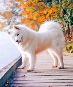 Aesthetic Samoyed Diamond Paintings