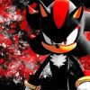 Aesthetic Shadow The Hedgehog Diamond Paintings