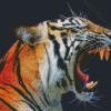 Aesthetic Tiger Roaring Diamond Paintings