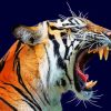 Aesthetic Tiger Roaring Diamond Paintings