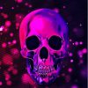 Aesthetic Purple Skull Diamond Paintings