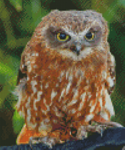 Australian Boobook Owl Diamond Paintings