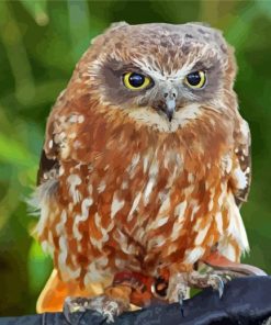 Australian Boobook Owl Diamond Paintings