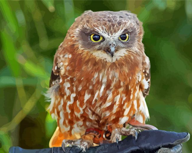 Australian Boobook Owl Diamond Paintings