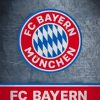 Bayern Munich FC Logo Diamond Paintings