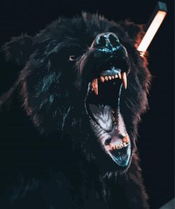 Black Angry Bear Diamond Paintings