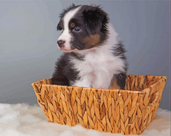 Black Tri Australian Shepherd Puppy In Basket Diamond Paintings