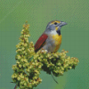 Cool Dickcissel Diamond Paintings