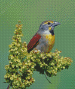 Cool Dickcissel Diamond Paintings