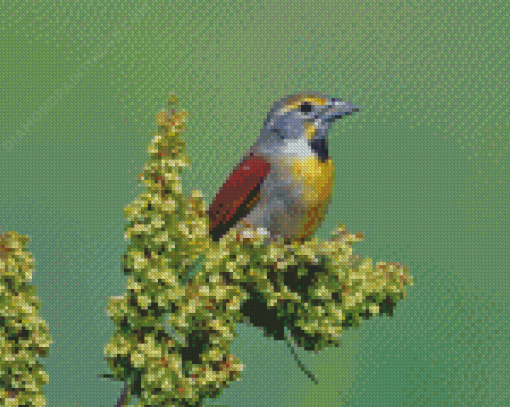 Cool Dickcissel Diamond Paintings