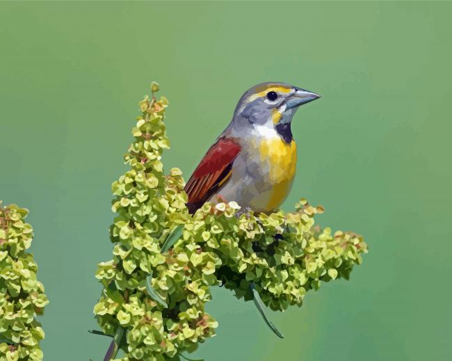 Cool Dickcissel Diamond Paintings