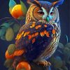 Owl And Oranges Diamond Paintings