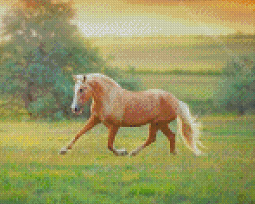 Running Palomino Horse Diamond Paintings