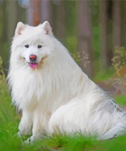 White Fluffy Dog In Forest Diamond Paintings