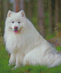 White Fluffy Dog In Forest Diamond Paintings